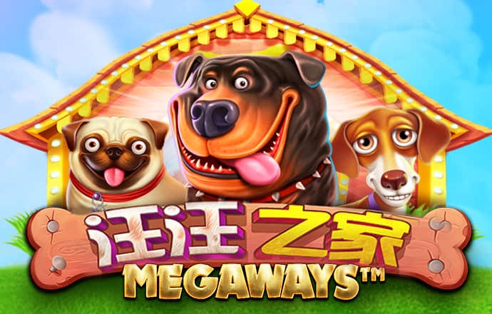 澳门美人鱼100%精准
