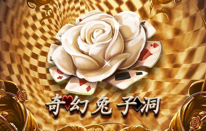 金龙彩app安卓版