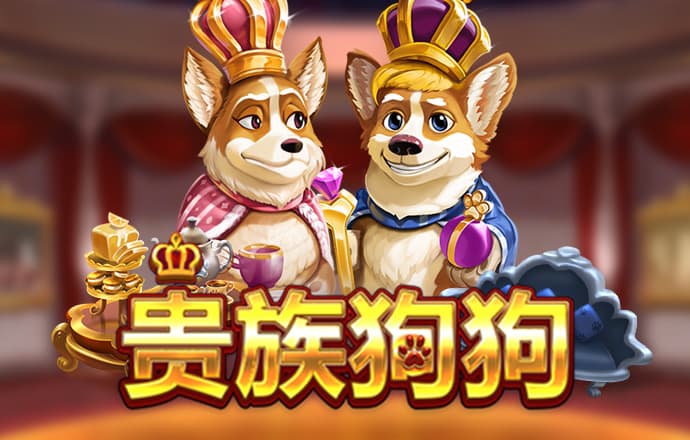 澳门蓝信黄信官方版