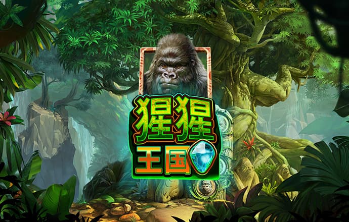 大三巴一肖一码100%官方版