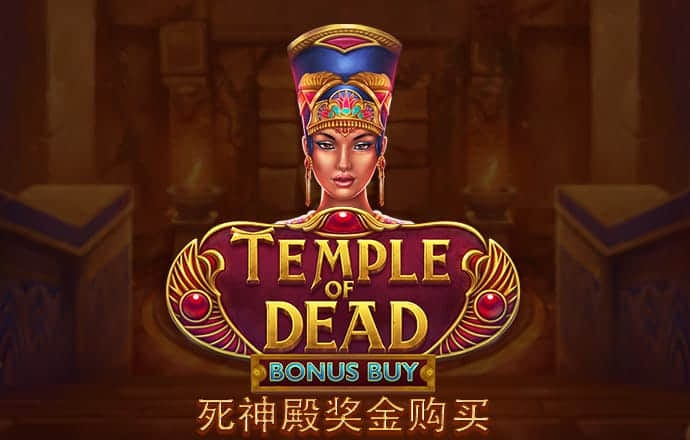 白老虎免费资料正版最精准 最新版